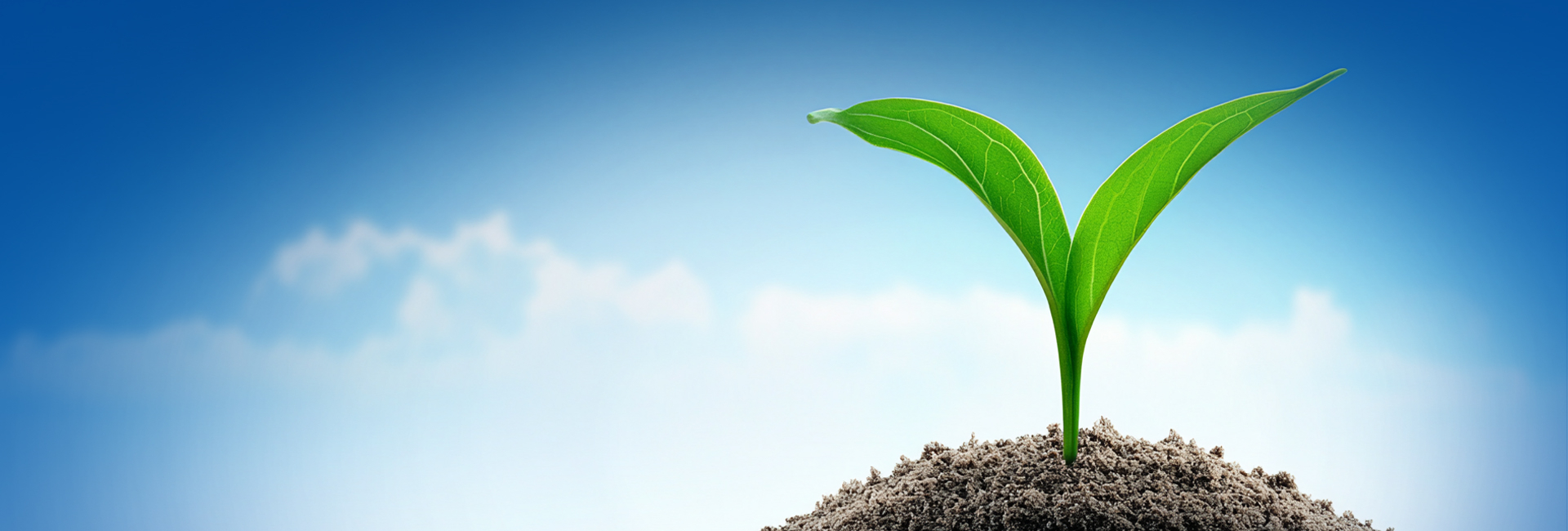 luck18xinli(�й���)-�ٷ���վ